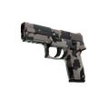P250 | Black & Tan (Factory New)