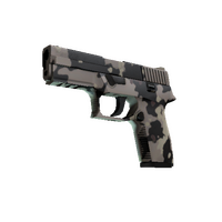 P250 | Black & Tan (Factory New)