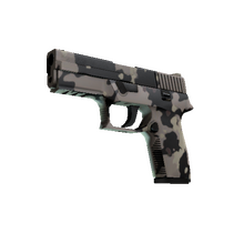 P250 | Black & Tan (Factory New)
