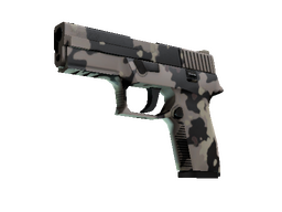 Souvenir P250 | Black & Tan (Factory New)
