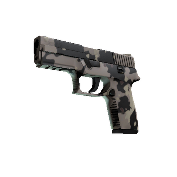 P250 | Black & Tan (Minimal Wear)