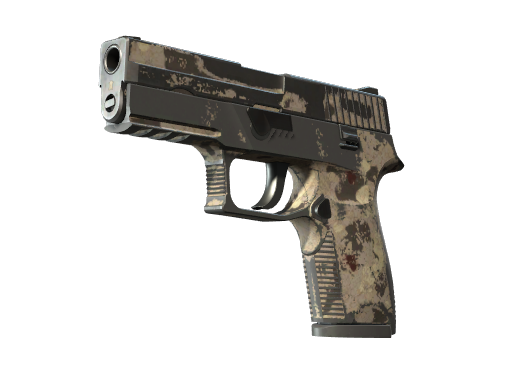 P250 | Black & Tan (Battle-Scarred)