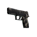 Souvenir P250 | Black & Tan (Battle-Scarred)