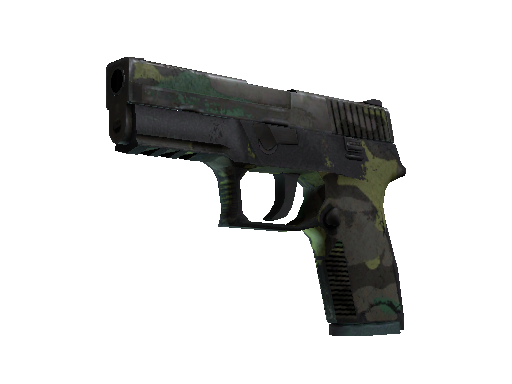 P250 | Boreal Forest (Field-Tested)