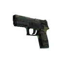 P250 | Boreal Forest (Battle-Scarred)