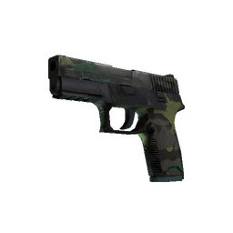 P250 | Boreal Forest (Battle-Scarred)