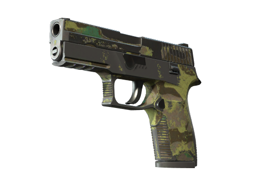 P250 | Boreal Forest
