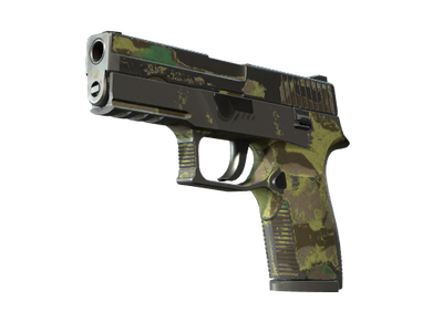 P250 | Boreal Forest