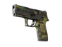 P250 | Boreal Forest