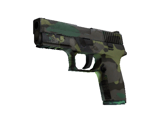 Souvenir P250 | Boreal Forest (Well-Worn)