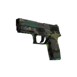 free csgo skin P250 | Boreal Forest (Well-Worn)