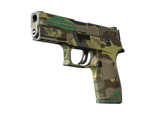 Souvenir P250 | Boreal Forest (Well-Worn)