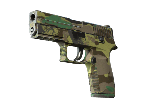 P250 | Boreal Forest (Field-Tested)