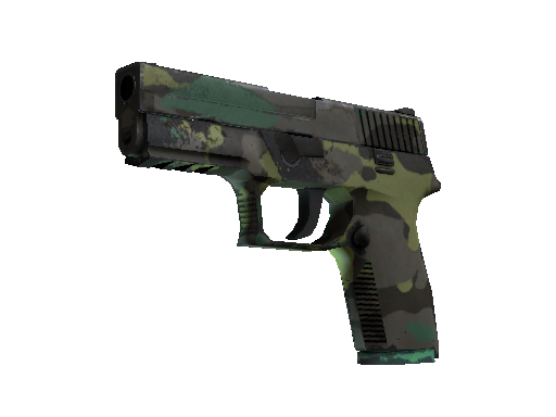 P250 | Boreal Forest (Field-Tested)