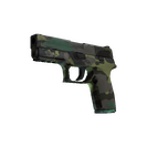 P250 | Boreal Forest (Field-Tested)