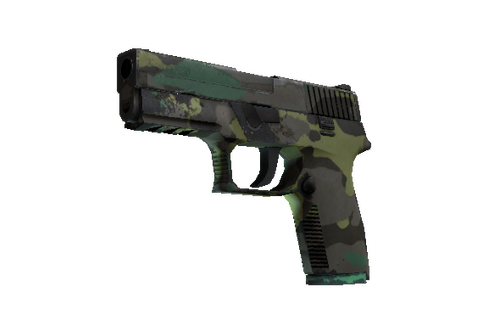 P250 | Boreal Forest (Well-Worn) Prices