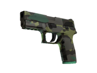 P250 | Boreal Forest (Factory New)