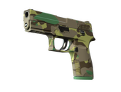 P250 | Boreal Forest (Factory New)