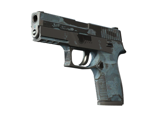 P250 | Forest Night (Battle-Scarred)