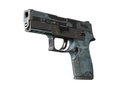 P250 | Forest Night (Battle-Scarred)