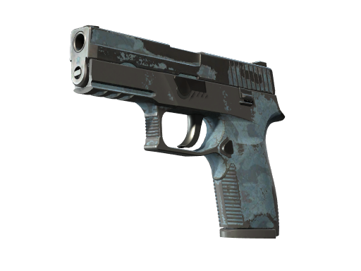P250 | Forest Night
