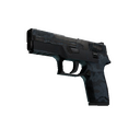 P250 | Forest Night (Battle-Scarred)