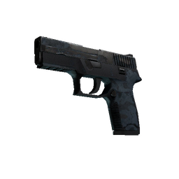 P250 | Forest Night (Battle-Scarred)