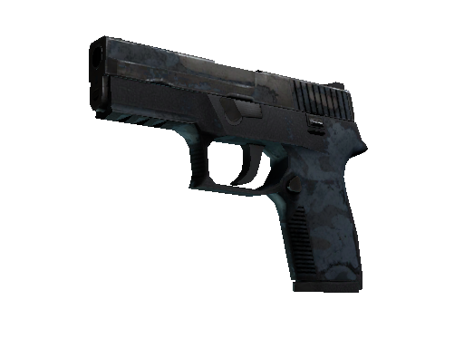 P250 | Forest Night (Battle-Scarred)