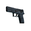 P250 | Forest Night (Minimal Wear)