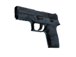 P250 | Forest Night (Factory New)