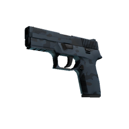 P250 | Forest Night (Minimal Wear)