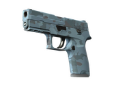 P250 | Forest Night (Factory New)