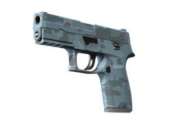 P250 | Forest Night