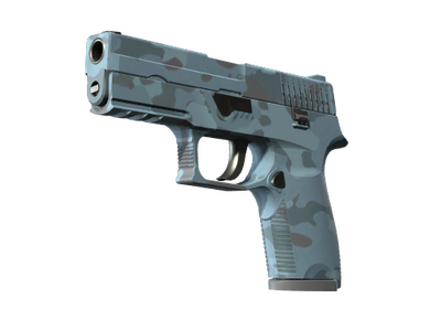 P250 | Лесная ночь