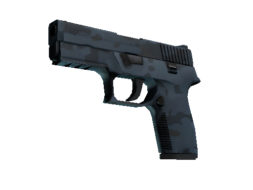 P250 | Forest Night (Minimal Wear)