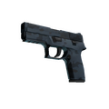 P250 | Forest Night (Factory New)