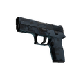 P250 | Forest Night (Field-Tested)