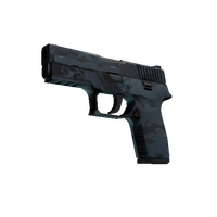 P250 | Forest Night (Field-Tested)