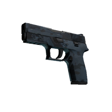 P250 | Forest Night (Field-Tested)