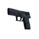 P250 | Forest Night (Well-Worn)