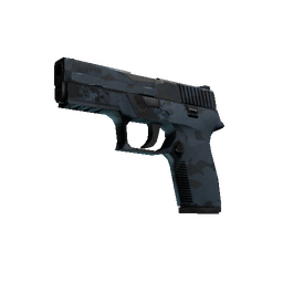 P250 | Forest Night (Field-Tested)