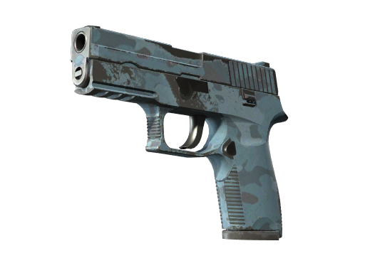 P250 | Forest Night (Well-Worn)