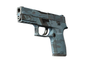 P250 | Forest Night (Well-Worn)