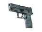 P250 | Forest Night