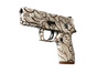 P250 | Gunsmoke