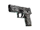 P250 | Gunsmoke