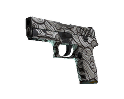 P250 | Gunsmoke
