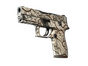 P250 | Gunsmoke