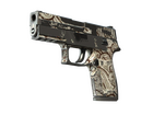 P250 | Gunsmoke