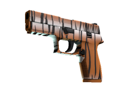 P250 | Bengal Tiger (Battle-Scarred)